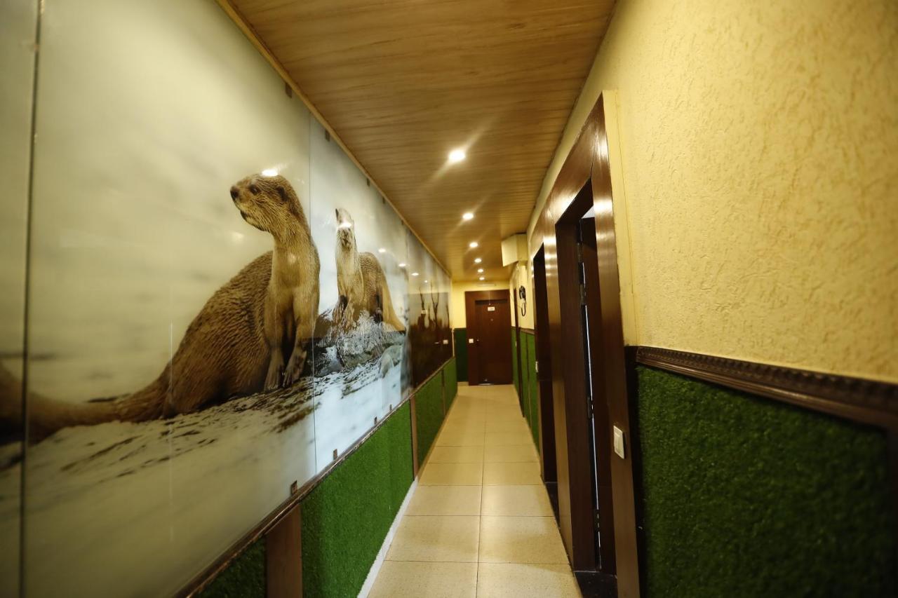 Hotel Kings Inn Масурі Екстер'єр фото