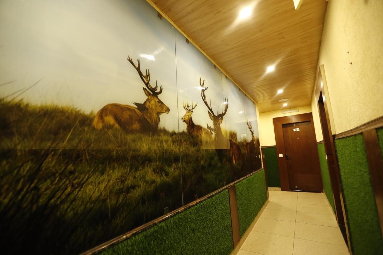 Hotel Kings Inn Масурі Екстер'єр фото